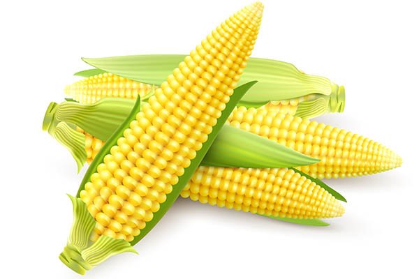 Corn